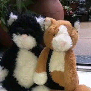 Meet your Posher, Kiina